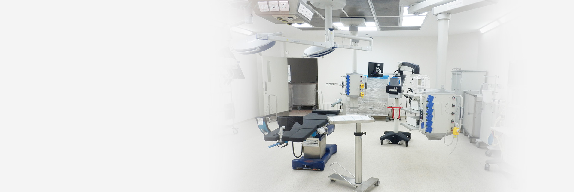 Leading the Future of Health Biotec Pharma Pioneering Excellence in